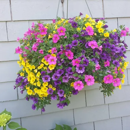 Beach Plum Motor Lodge